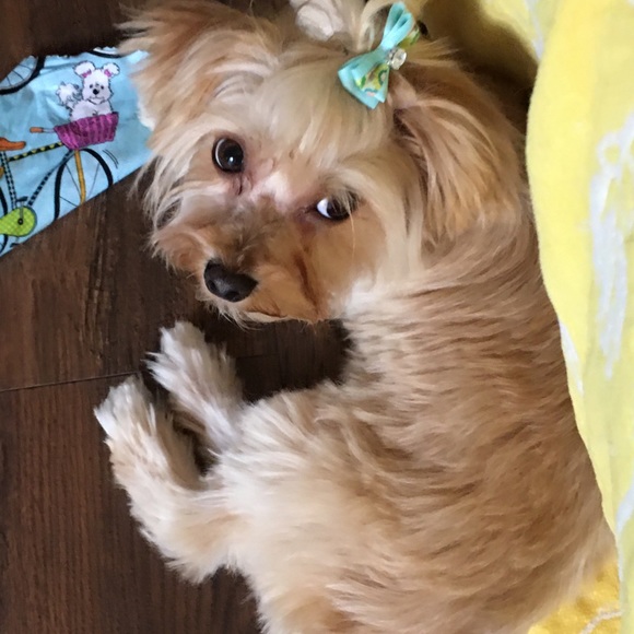 Meet your Posher, Shelli - Picture 13 of 15